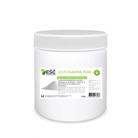 GLUCOSAMINE PURE – Protection du cartilage cheval