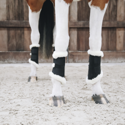 BRUSHING BOOTS AIR PROTECTION DRESSAGE