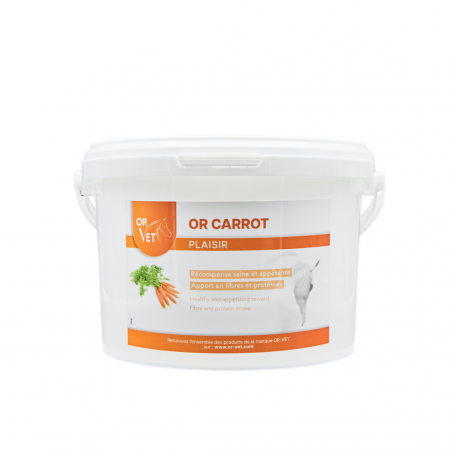 Or carrot friandises pour chevaux