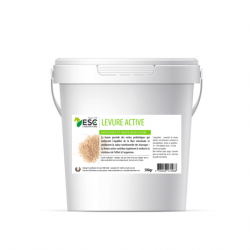 LEVURE ACTIVE – Probiotique flore intestinale et digestion cheval