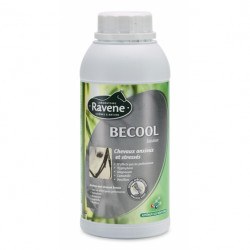 Anti-stress Ravene Becool solution