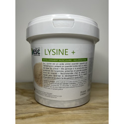 LYSINE + – Soutien de l’effort et développement musculaire cheval
