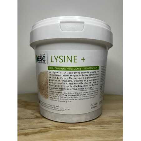 LYSINE + – Soutien de l’effort et développement musculaire cheval