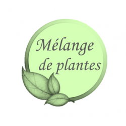 GARLIC MIX – Ail Ortie Artichaut – Mélange de plantes cheval