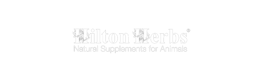 Hilton Herbs